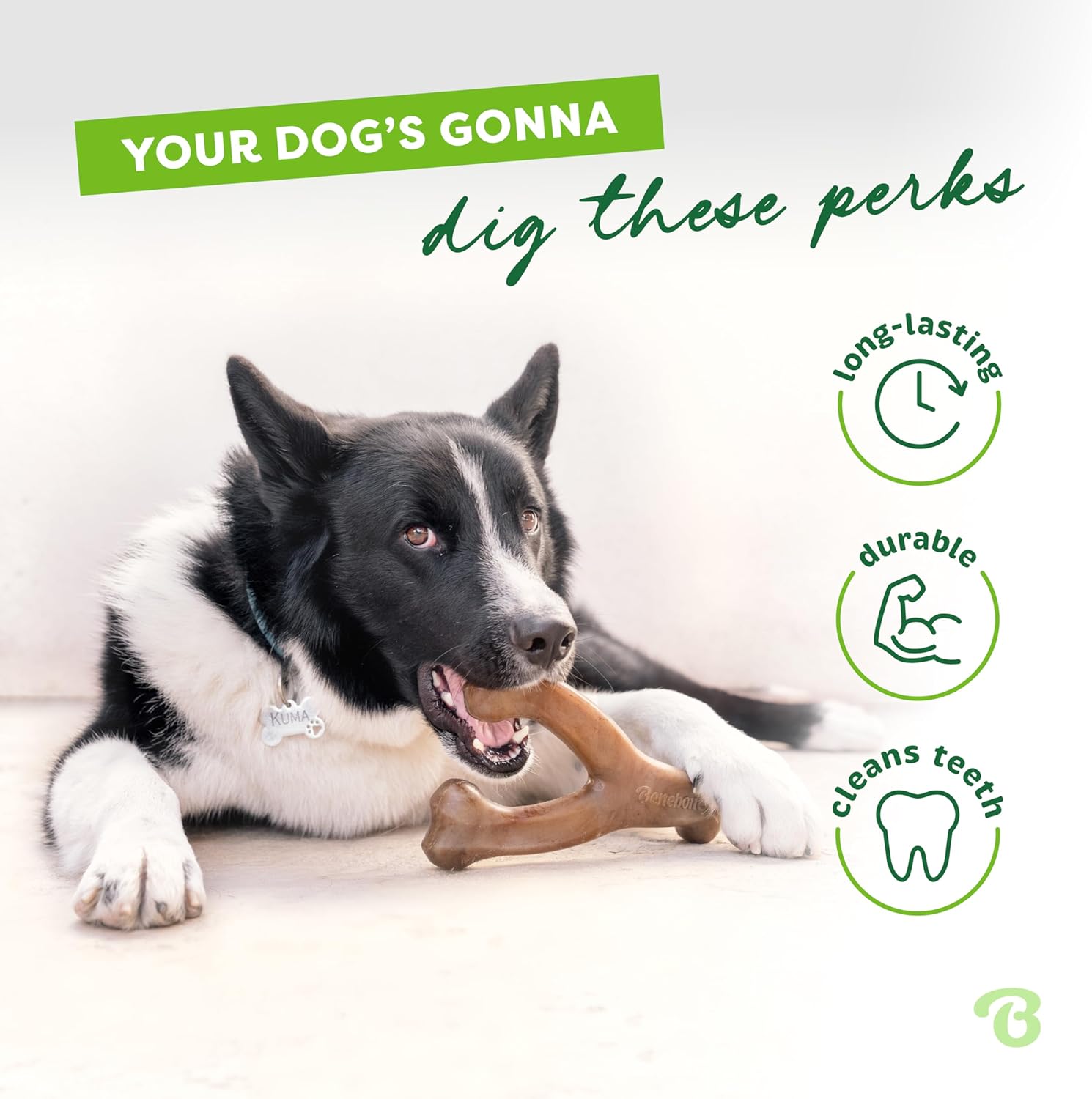Durable Dog Chew Toy for Aggressive Chewers, Real Bacon